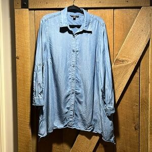 Zac & Rachel Button Down Jean